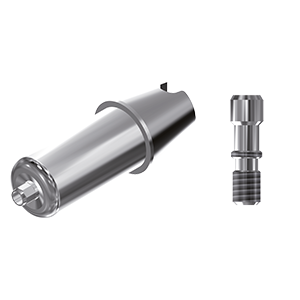 ZZ BASE K-EC-ABCH Raw-Abutment 4.8 (Hex & Screw)