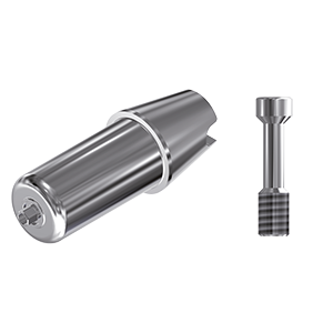 ZZ BASE TH-SPI-ABCH Raw Abutment 4.0 (Hex & Screw)
