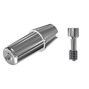 ZZ BASE BH-INT-ABCH Raw-Abutment Ø 4.5 HEX