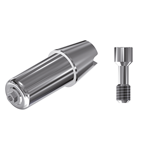 ZZ BASE BH-INT-ABCH Raw-Abutment Ø 5.7 HEX