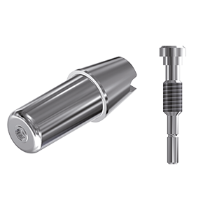 ZZ BASE BH-EX-ABCH 3.5 Raw-Abutment (Hex & Screw)