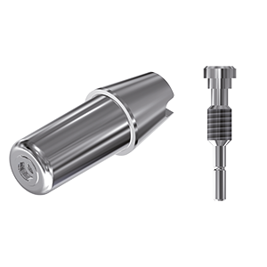 ZZ BASE BH-EX-ABCH 5.0 Raw-Abutment (Hex & Screw)
