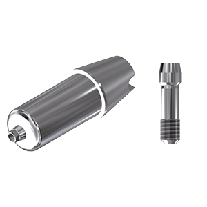 ZZ BASE OS-GS-ABCH Raw-Abutment Ø 4.0/4.5/5.0  (Hex & Scr)