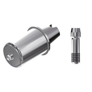 ZZ BASE OS-GS-ABCH-D14 4.0/4.5/5.0 Raw-Abutm D14 (Hex & Scr)