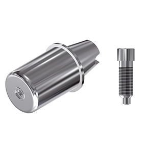ZZ BASE OS-US-ABCH Raw-Abutment Ø 4.1 D14 ID (Hex & Scr)