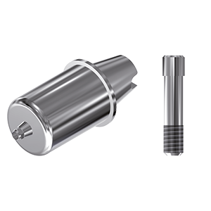 ZZ BASE D-I-ABCH Raw-Abutment Ø 3.8 D14 (Hex & Screw)