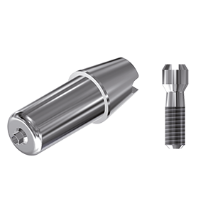 ZZ BASE BE-SE-S/RI-ABCH Raw-Abutment Ø 3.75 (Hex & Screw)