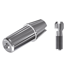 ZZ BASE BE-SE-S/RI-ABCH Raw-Abutment Ø 4.10 (Hex & Screw)