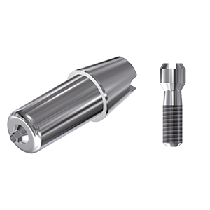 ZZ BASE BE-SE-S/RI-ABCH Raw-Abutment Ø 4.50 (Hex & Screw)