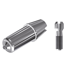 ZZ BASE BE-SE-S/RI-ABCH Raw-Abutment Ø 5.50 (Hex & Screw)