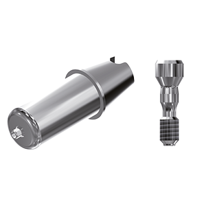 ZZ BASE BE-SE-S/RI-ABCH 3.0 Raw-Abutment (Hex & Screw)