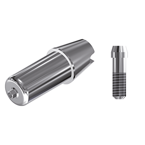 ZZ BASE ID-LE-ABCH Raw-Abutment 3.5 (Hex & Screw)