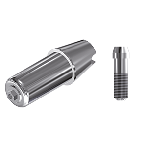 ZZ BASE ID-LE-ABCH Raw-Abutment 5.7 (Hex & Screw)