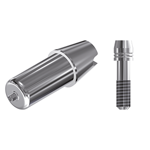 ZZ BASE ID-LE-ABCH-ID Raw-Abutment 3.0 (Hex & Screw)