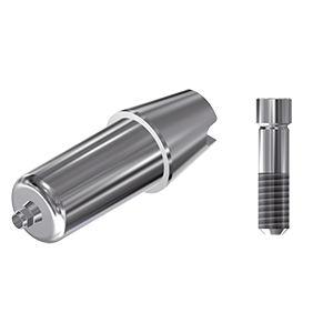ZZ BASE NT-IS-ABCH Raw-Abutment 4.3 (Hex & Screw)