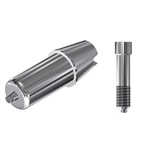 ZZ BASE WT-OI-ABCH Raw-Abutment 3.6-5.3 (Hex & Screw)