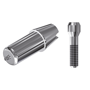 ZZ BASE AS-EV-ABCH Raw-Abutment Ø 3.0 (Hex & Screw)
