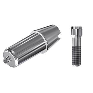 ZZ BASE AS-EV-ABCH Raw-Abutment Ø 3.6 (Hex & Screw)