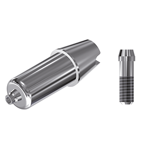 ZZ BASE AS-EV-ABCH Raw-Abutment Ø 4.8 (Hex & Screw)
