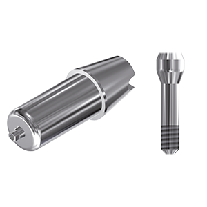 ZZ BASE AG-AX-CCTB REG/PX (Raw-Abutment® HEX)