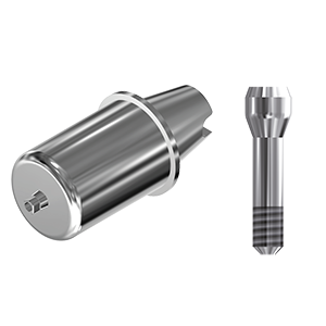 ZZ BASE AG-AX-ABCH-D14 REG/PX Raw-Abutment D14 (Hex & Screw)