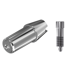 ZZ BASE P-TS-ABCH S3 Raw-Abutment (Hex & Screw)