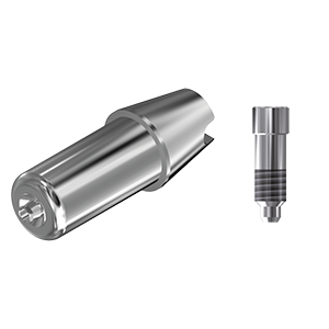 ZZ BASE P-TS-ABCH S4 Raw-Abutment (Hex & Screw)