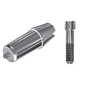 ZZ BASE MD-MI-ABCH Raw-Abutment 3.5-5.0 (Hex & Screw)