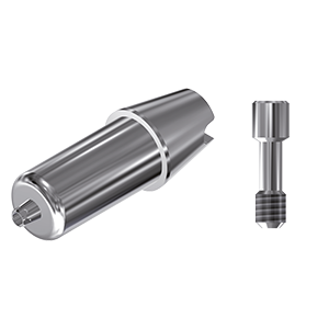 ZZ BASE MS-V3-ABCH Standard Raw-Abutment (Hex & Screw)