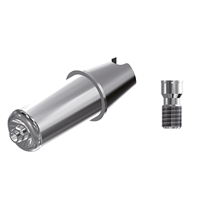 ZZ BASE SI-IC-ABCH 6.5 Raw-Abutment (Hex & Screw)