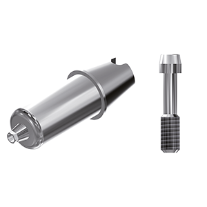 ZZ BASE SI-DC-ABCH 5.0 Raw-Abutment (Hex & Screw)