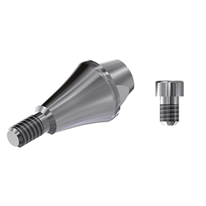 SET ZZ BASE NB-A-ZZMUA-L35 NP(MU Abutment hex L35 and screw)