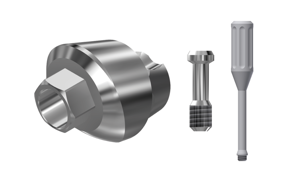 MS-S-ZZMUA17-L10 Wide Typ 1 (ZZ Multi Unit 17° T1 L10 & Scr)