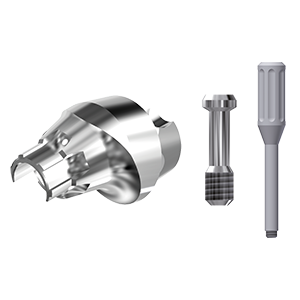 AS-EV-ZZMUA17-L10 4.2 Typ 1 (ZZ Multi Unit 17° T1 L10 & Scr)