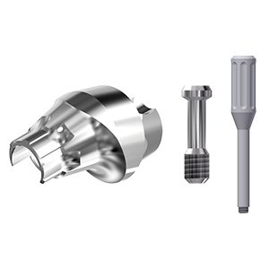 AS-EV-ZZMUA17-L10 4.2 Typ 2 (ZZ Multi Unit 17° T2 L10 & Scr)