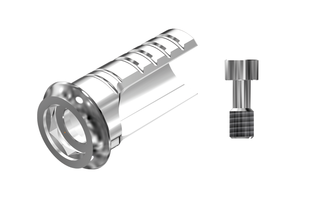 ZZ BASE NB-B-ASCTBH-K80 4.1 (ASC Ti-Base Hex K80 & Screw)