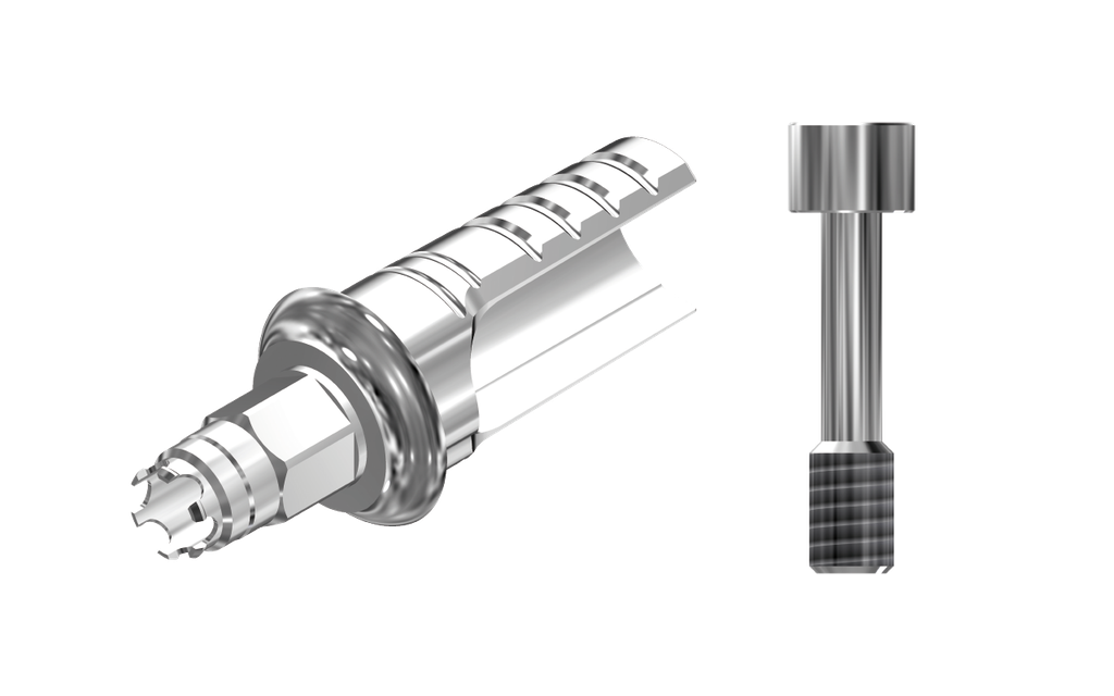 ZZ BASE B-C-ASCTBH-K80 3.4 (ASC Ti-Base Hex K80 & Screw)