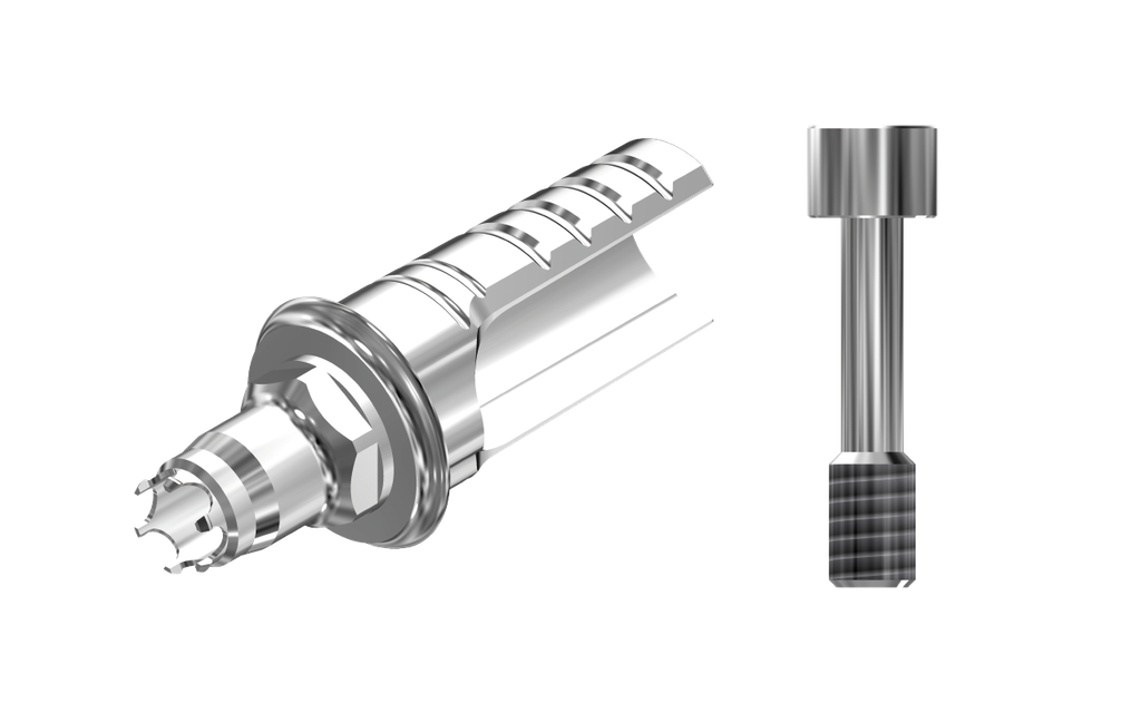 ZZ BASE B-C-ASCTBH-K80 4.1 (ASC Ti-Base Hex K80 & Screw)