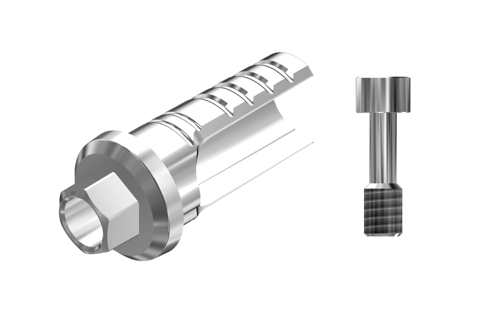 ZZ BASE Z-TS-ASCTBH-K80 4.5 (ASC Ti-Base Hex K80 & Screw)
