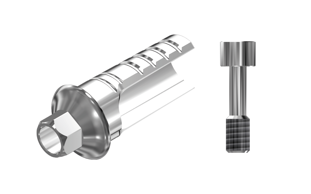 ZZ BASE MS-S-ASCTBH-K80 Narrow (ASC Ti-Base Hex K80)