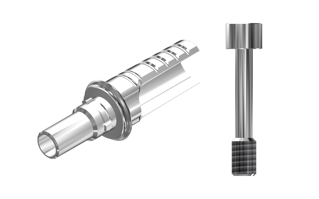 ZZ BASE C-J-ASCTBH-K80 3.8 (ASC Ti-Base Hex K80 & Screw)
