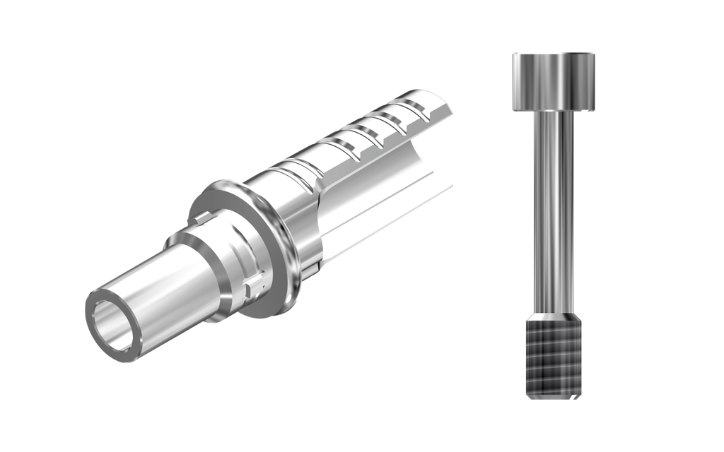 ZZ BASE C-J-ASCTBH-K80 4.3 (ASC Ti-Base Hex K80 & Screw)