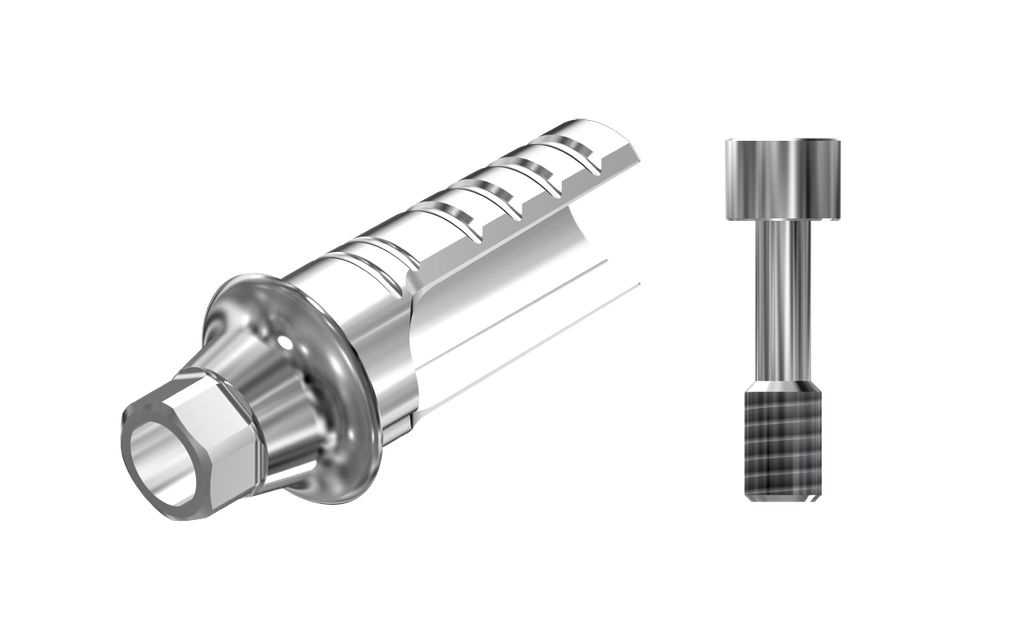 ZZ BASE NB-A-ASCTBH-K80 NP (ASC Ti-Base Hex K80 & Screw)