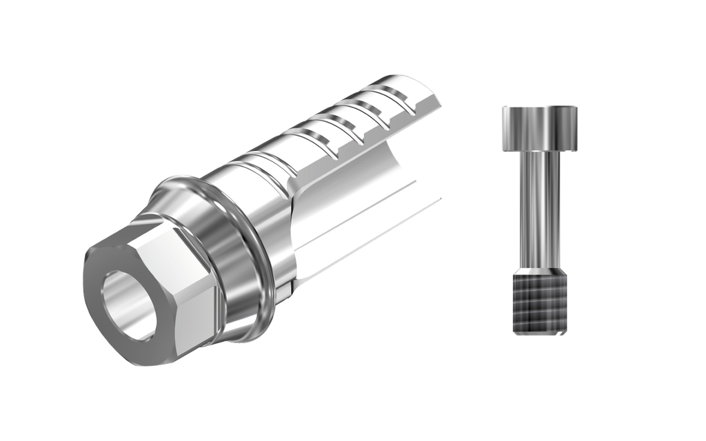 ZZ BASE NB-A-ASCTBH-K80 WP (ASC Ti-Base Hex K80 & Screw)
