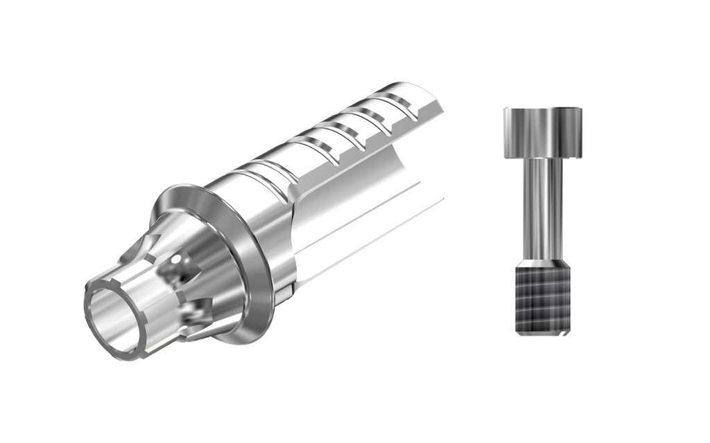 ZZ BASE AS-EV-ASCTBH-K80 4.2 (ASC Ti-Base Hex K80 & Screw)