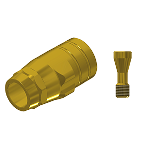 ZZ BASE DO-T-PCTBH-G RP (Paral Ti-Base Hex & Scr Gold)