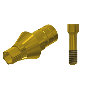 ZZ BASE NB-NA CC 3.0 L20 Gold (Paral. Cem. TiBase Hex & Scr)