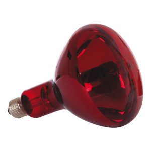 Drooglamp voor droogstation 250