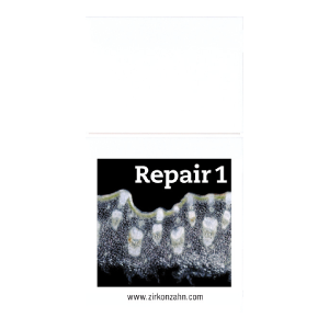 ICE Ceramic Repair 1, light colour 20g