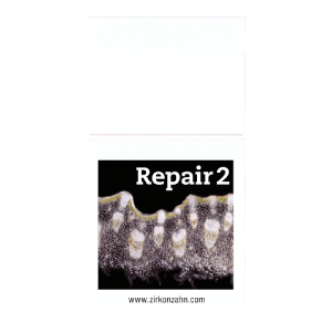 ICE Ceramic Repair 2, dark colour 20g